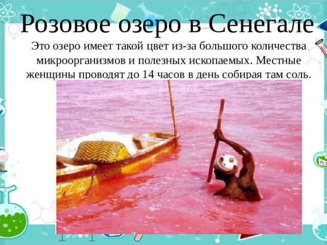  Розовое озеро в Сенегале   Это озеро имеет такой цвет из-за большого количества микроорганизмов и полезных ископаемых. Местные женщины проводят до 14 часов в день собирая там соль.   