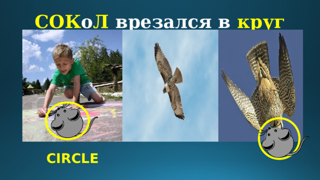 СОК о Л  врезался в круг CIRCLE 