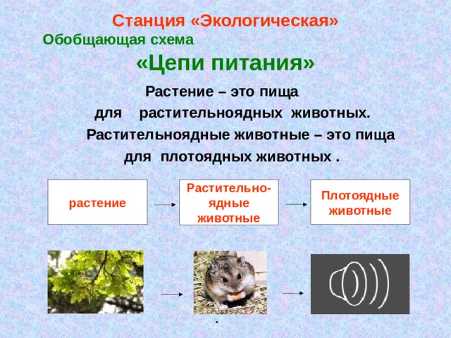 Станция «Экологическая»  Обобщающая схема «Цепи питания»  Растение – это пища  для растительноядных  животных.  Растительноядные животные – это пища  для плотоядных животных . Растительно- ядные животные Плотоядные животные растение . 