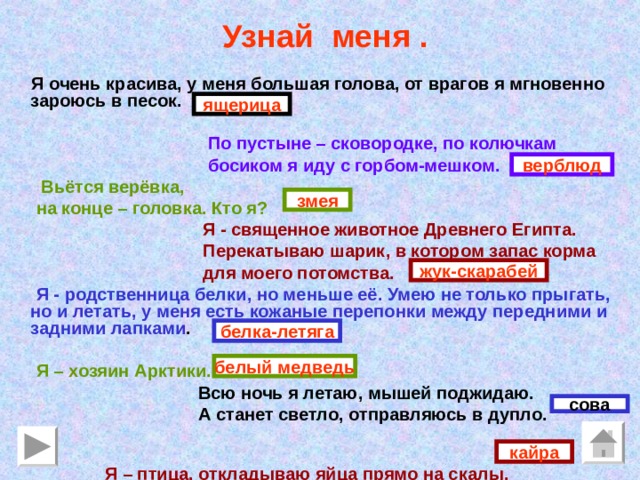  Узнай меня .  Я очень красива, у меня большая голова, от врагов я мгновенно зароюсь в песок.   По пустыне – сковородке, по колючкам  босиком я иду с горбом-мешком.  Вьётся верёвка,  на конце – головка. Кто я?  Я - священное животное Древнего Египта.  Перекатываю шарик, в котором запас корма  для моего потомства.  Я - родственница белки, но меньше её. Умею не только прыгать, но и летать, у меня есть кожаные перепонки между передними и задними лапками .   Я – хозяин Арктики.  Всю ночь я летаю, мышей поджидаю.  А станет светло, отправляюсь в дупло.   Я – птица, откладываю яйца прямо на скалы.  ящерица верблюд змея жук-скарабей белка-летяга белый медведь сова кайра 