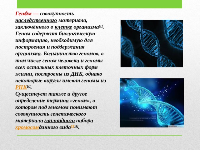 Международный проект геном человека реферат