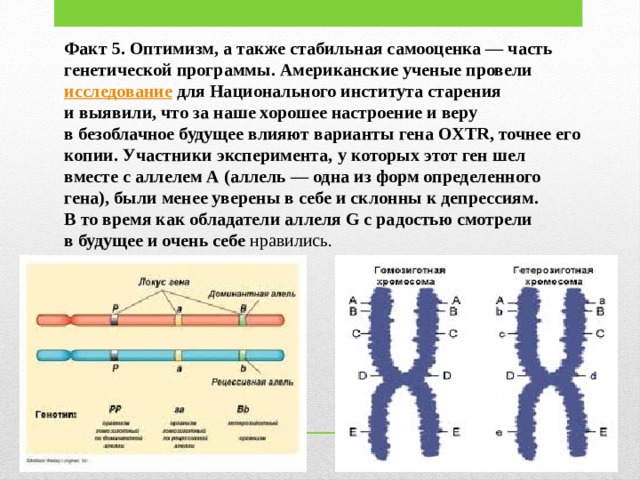 Исследовательский проект по биологии 11 класс