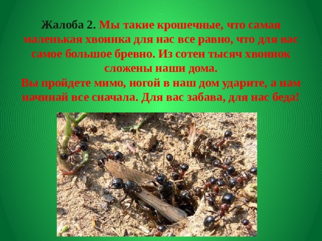 Жалоба 2. Мы такие крошечные, что самая маленькая хвоинка для нас все равно, что для вас самое большое бревно. Из сотен тысяч хвоинок сложены наши дома.  Вы пройдете мимо, ногой в наш дом ударите, а нам начинай все сначала. Для вас забава, для нас беда!   