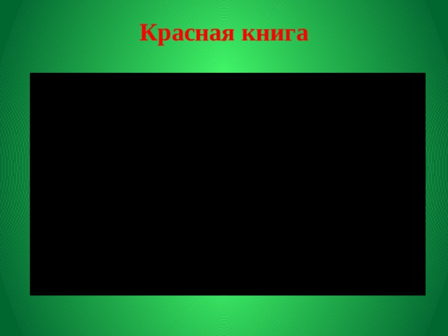 Красная книга 