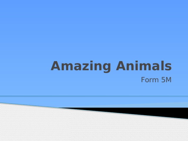 Amazing Animals Form 5M 
