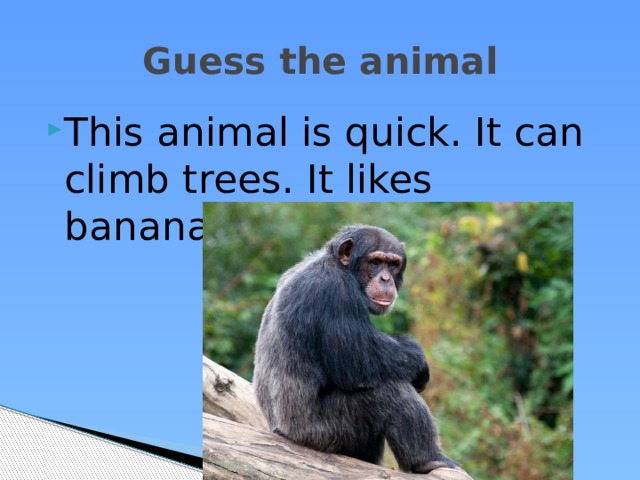 Guess the animal This animal is quick. It can climb trees. It likes bananas and other fruit. 