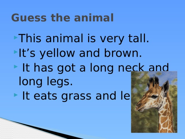 Guess the animal This animal is very tall. It’s yellow and brown.  It has got a long neck and long legs.  It eats grass and leaves. 
