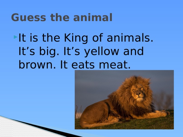 Guess the animal It is the King of animals. It’s big. It’s yellow and brown. It eats meat. 