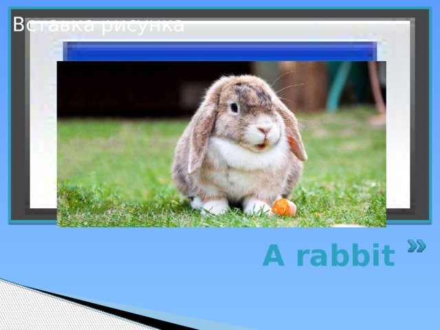 Вставка рисунка A rabbit 