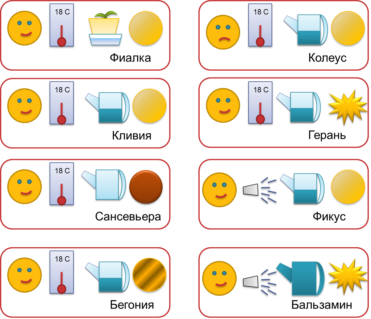 Схема ухода за комнатными растениями