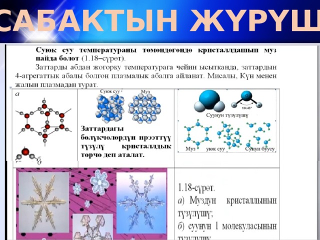 САБАКТЫН ЖҮРҮШҮ: 