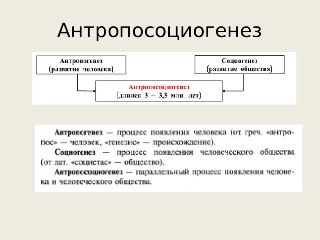 Антропосоциогенез 