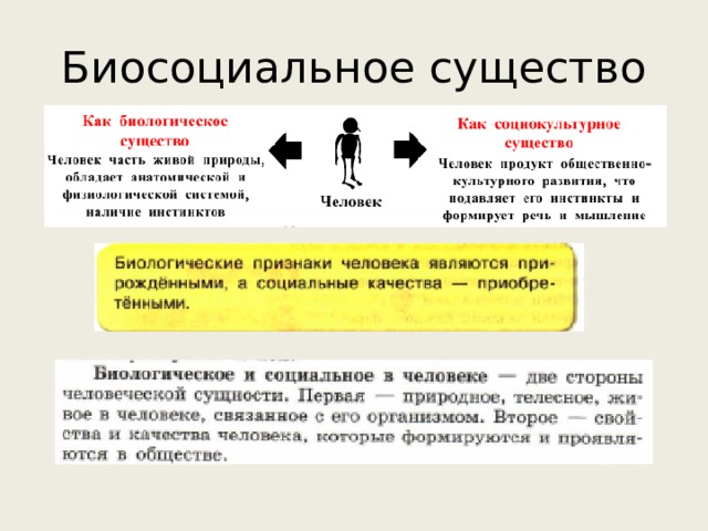 План по обществознанию егэ биосоциальная сущность человека