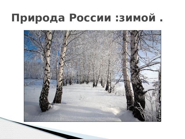 Природа России :зимой . 