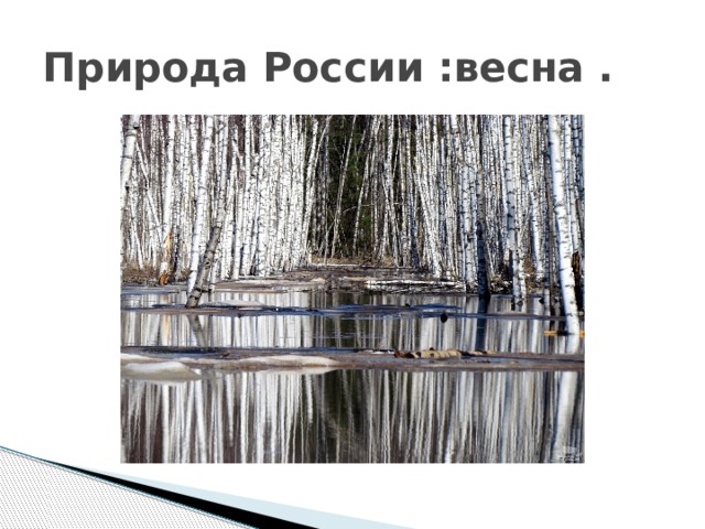 Природа России :весна . 