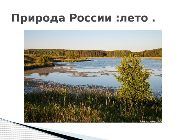 Природа России :лето . 