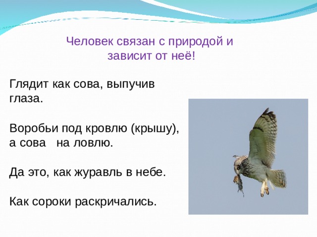 Человек связан с природой и  зависит от неё! Глядит как сова, выпучив глаза. Воробьи под кровлю (крышу), а сова на ловлю. Да это, как журавль в небе. Как сороки раскричались. 