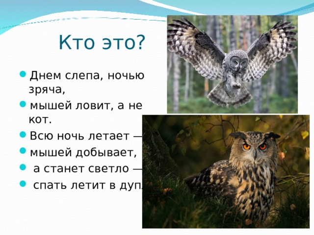 Кто это? Днем слепа, ночью зряча, мышей ловит, а не кот. Всю ночь летает — мышей добывает,  а станет светло —  спать летит в дупло.   
