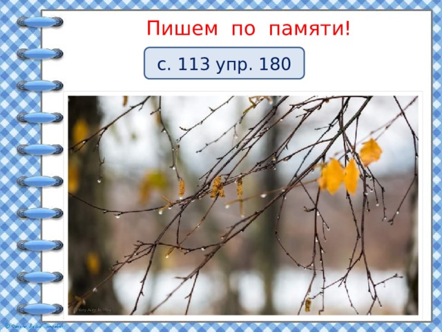 Пишем по памяти! с. 113 упр. 180 О пали с б е рёзы п о следн ие лист ь я .  