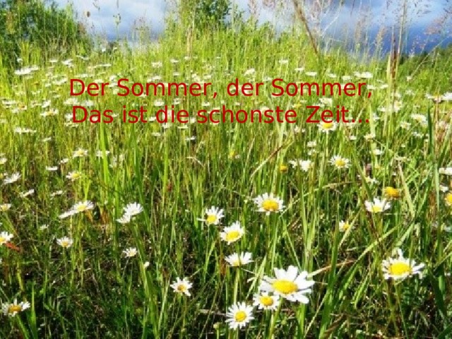 Der Sommer, der Sommer, Das ist die schonste Zeit...  