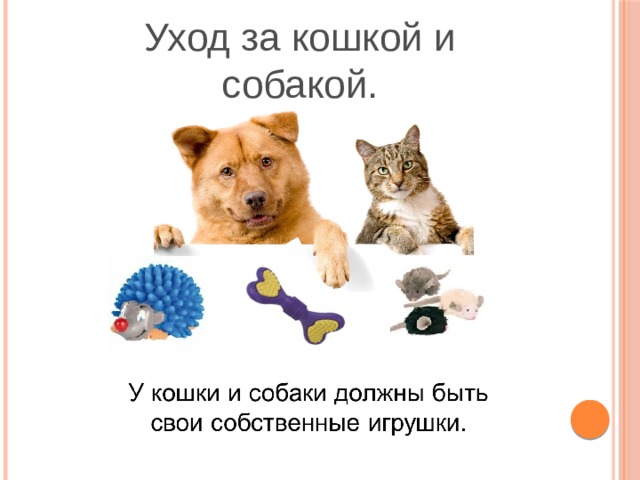 Про кошек и собак презентация окружающий. Про кошек и собак. Конспект. Тест 21 про кошек и собак. Про кошек и собак конспект урока 2 класс школа России. Фон кошки собаки.