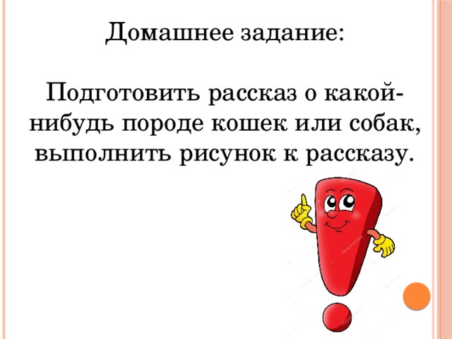 Нибудь рассказы. Какой нибудь рассказ. Для меня какой нибудь рассказ. Рассказ о каком нибудь какой нибудь Розе. Подготовить рассказ какой-нибудь породе читать ответ..