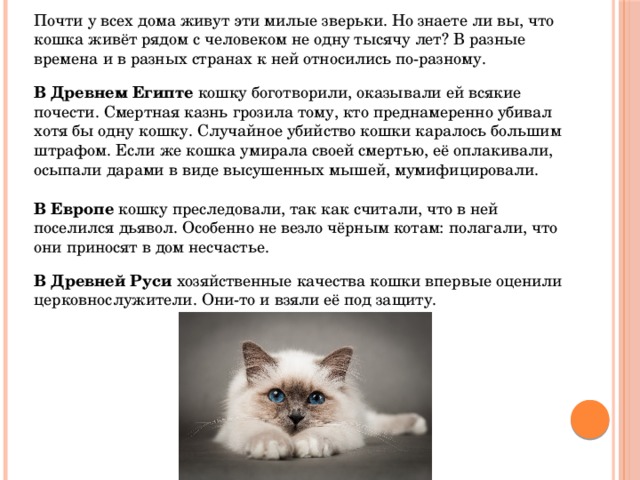 Почти у всех дома живут эти милые зверьки. Но знаете ли вы, что кошка живёт рядом с человеком не одну тысячу лет? В разные времена и в разных странах к ней относились по-разному. В Древнем Египте кошку боготворили, оказывали ей всякие почести. Смертная казнь грозила тому, кто преднамеренно убивал хотя бы одну кошку. Случайное убийство кошки каралось большим штрафом. Если же кошка умирала своей смертью, её оплакивали, осыпали дарами в виде высушенных мышей, мумифицировали. В Европе кошку преследовали, так как считали, что в ней поселился дьявол. Особенно не везло чёрным котам: полагали, что они приносят в дом несчастье. В Древней Руси хозяйственные качества кошки впервые оценили церковнослужители. Они-то и взяли её под защиту. 