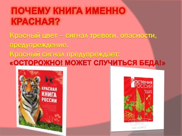 Красный цвет – сигнал тревоги, опасности, предупреждение.  Красный сигнал предупреждает:   «ОСТОРОЖНО! Может случиться беда!»   