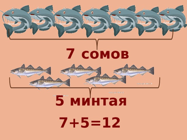 7  сомов 5 минтая 7+5=12 