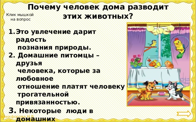 Почему человек дома разводит этих животных? Клик мышкой  на вопрос Это увлечение дарит радость  познания природы. 2. Домашние питомцы – друзья  человека, которые за любовное  отношение платят человеку  трогательной привязанностью. 3. Некоторые люди в домашних  условиях, выводят новые линии рыб или птиц. 