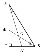 Геометрия прямоугольный треугольник тест