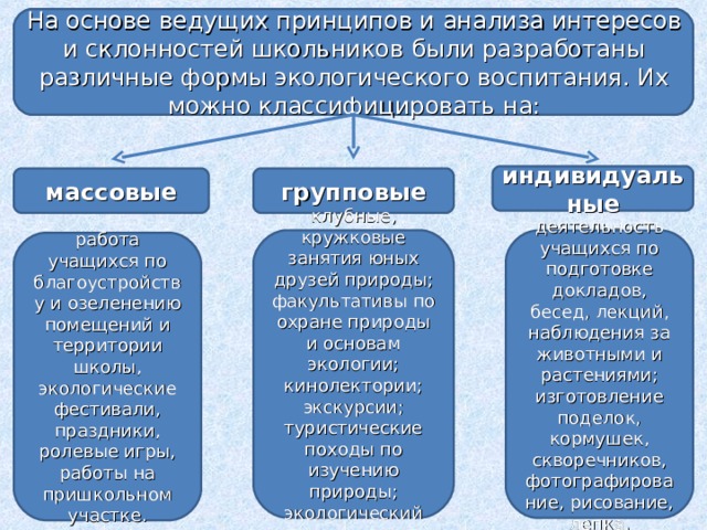 Дидактические свойства и функции экологических проектов