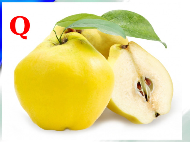 Q 