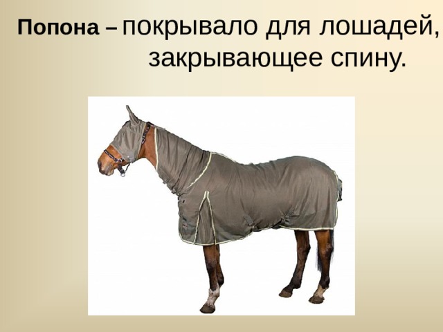 Попона –  покрывало для лошадей, закрывающее спину.   