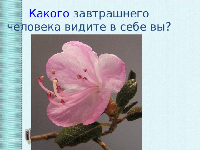 Какого завтрашнего человека видите в себе вы?