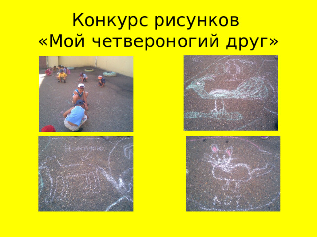 Конкурс рисунков  «Мой четвероногий друг» 