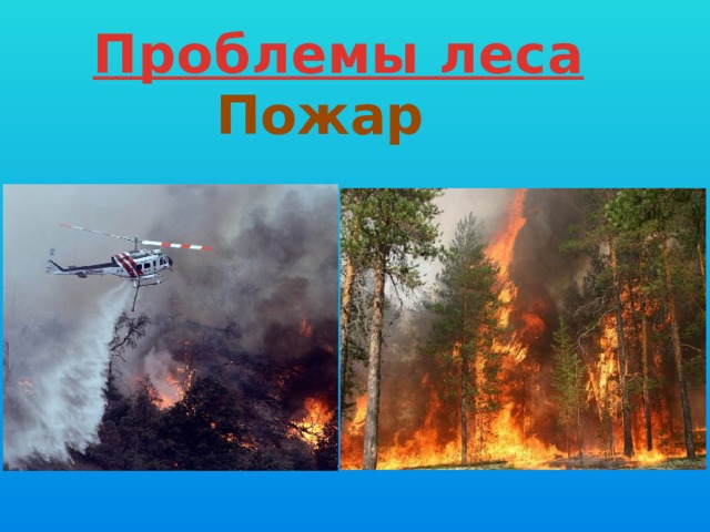 Проблемы леса Пожар 