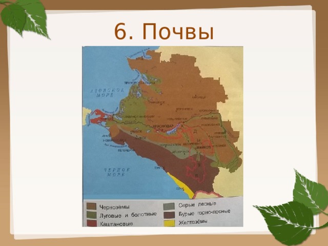 6. Почвы 