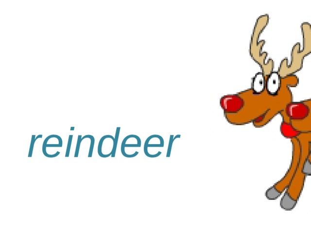 reindeer 