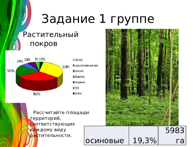 Задание 1 группе Растительный покров заповедника:  Рассчитайте площади территорий, соответствующих каждому виду растительности. осиновые 19,3% 5983 га 