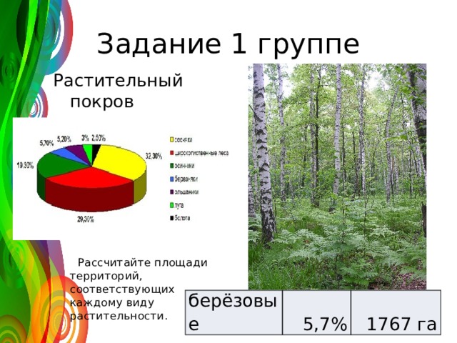 Задание 1 группе Растительный покров заповедника:  Рассчитайте площади территорий, соответствующих каждому виду растительности. берёзовые 5,7% 1767 га 