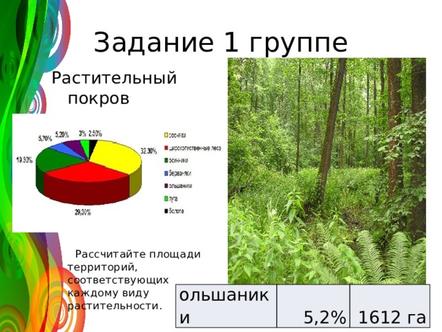 Задание 1 группе Растительный покров заповедника:  Рассчитайте площади территорий, соответствующих каждому виду растительности. ольшаники 5,2% 1612 га 