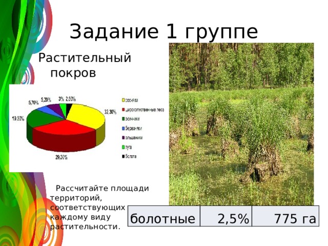 Задание 1 группе Растительный покров заповедника:  Рассчитайте площади территорий, соответствующих каждому виду растительности. болотные 2,5% 775 га 