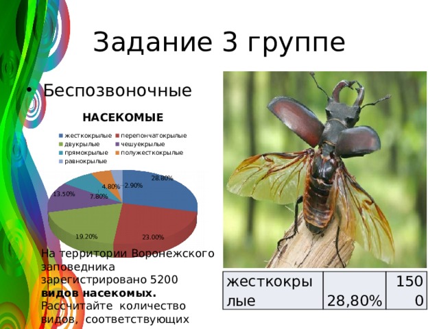 Задание 3 группе Беспозвоночные На территории Воронежского заповедника зарегистрировано 5200 видов насекомых. Рассчитайте количество видов, соответствующих каждому отряду жесткокрылые 28,80% 1500 