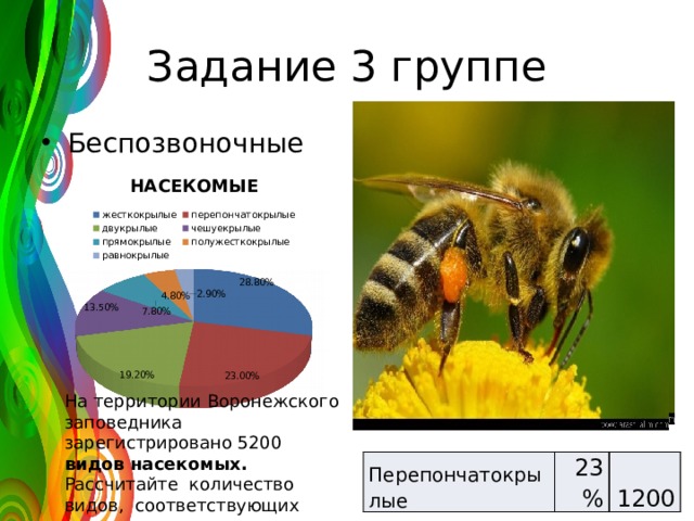 Задание 3 группе Беспозвоночные На территории Воронежского заповедника зарегистрировано 5200 видов насекомых. Рассчитайте количество видов, соответствующих каждому отряду Перепончатокрылые 23% 1200 
