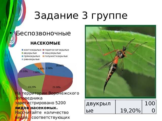 Задание 3 группе Беспозвоночные На территории Воронежского заповедника зарегистрировано 5200 видов насекомых. Рассчитайте количество видов, соответствующих каждому отряду двукрылые 19,20% 1000 
