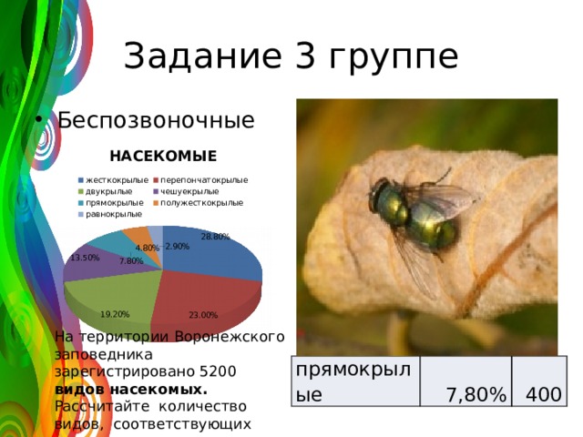 Задание 3 группе Беспозвоночные На территории Воронежского заповедника зарегистрировано 5200 видов насекомых. Рассчитайте количество видов, соответствующих каждому отряду прямокрылые 7,80% 400 