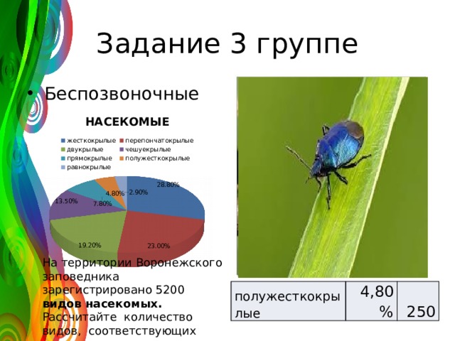 Задание 3 группе Беспозвоночные На территории Воронежского заповедника зарегистрировано 5200 видов насекомых. Рассчитайте количество видов, соответствующих каждому отряду полужесткокрылые 4,80% 250 
