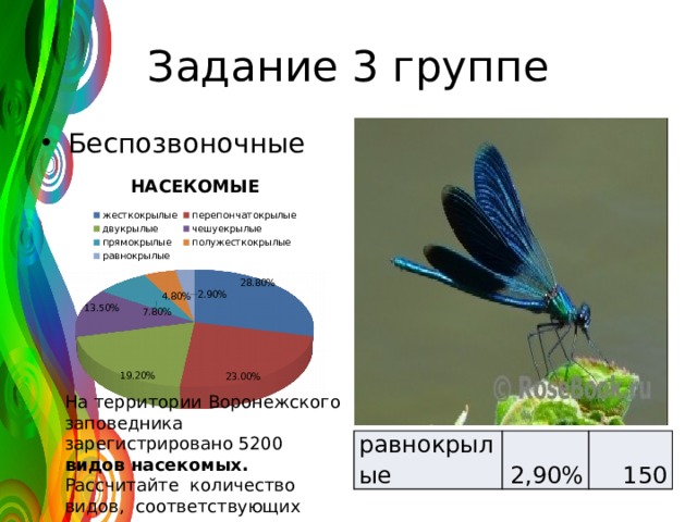 Задание 3 группе Беспозвоночные На территории Воронежского заповедника зарегистрировано 5200 видов насекомых. Рассчитайте количество видов, соответствующих каждому отряду равнокрылые 2,90% 150 