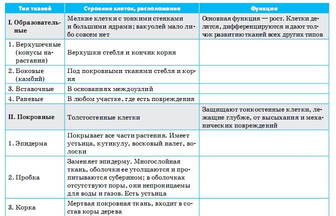 Характеристика растительных тканей таблица 6 класс. Ткани растения название строение функция. Биология ткани растений таблица. Строение и функции растительных тканей таблица.